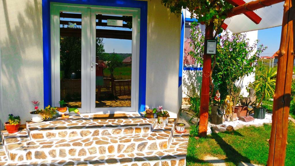 Teo Guest Rooms Băile Felix Extérieur photo
